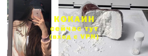 твердый Богородицк