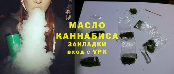 твердый Богородицк