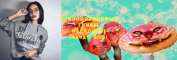 эйфоретик Туринск